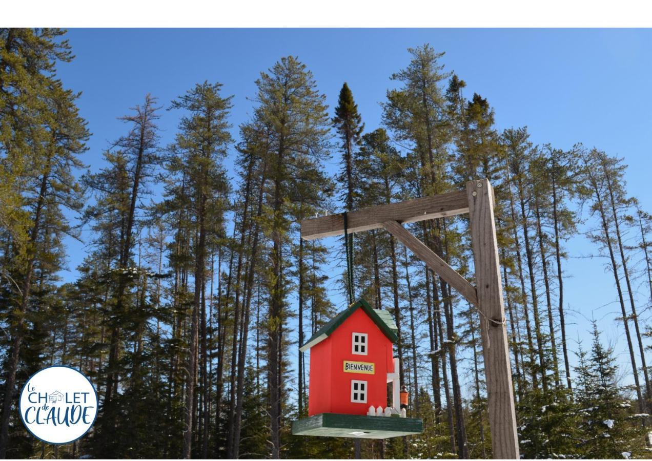 Le Chalet De Claude, Au Pied Des Monts-Valin Saint-David-de-Falardeau Bagian luar foto